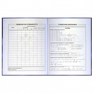 Дневник российского школьника, А5+, 48 л, интегральный переплёт, конгрев, выборочный УФ-лак, матовая ламинация