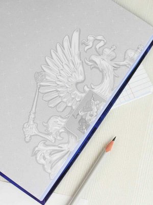Дневник российского школьника, А5+, 48 л, интегральный переплёт, конгрев, выборочный УФ-лак, матовая ламинация