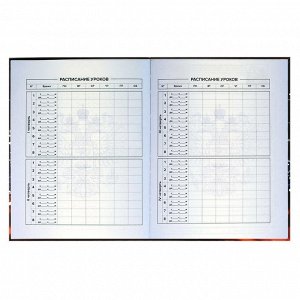 Дневник российского школьника, А5+, 48 л, интегральный переплёт, конгрев, выборочный УФ-лак, матовая ламинация