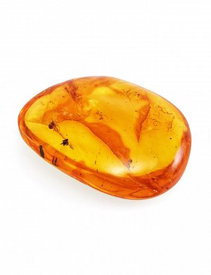 Натуральный балтийский янтарь лимонного оттенка с инклюзом мошки, 801309079