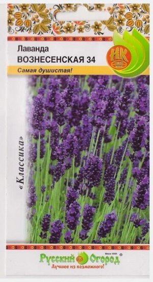 Лаванда Вознесенская (Код: 1361)