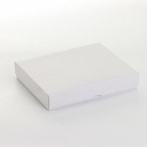 Обложка для документов 3 в 1, TEXTURA, на кнопке: для автодокументов, паспорта, купюр, коричневая