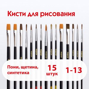 Кисти ПИФАГОР, НАБОР 15шт. (ПОНИ - 9 шт, СИНТЕТИКА - 4 шт, ЩЕТИНА - 2 шт, круглые, плоские), 200504