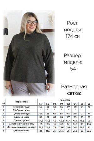 Водолазка Комфортная водолазка прямого силуэта, длиной до линии бедер. Модель выполнена из мягкого трикотажного полотна.  Круглый вырез горловины оформлен воротником - стойка. Рукава длинные втачные н