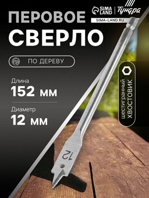 Сверло по дереву перовое ТУНДРА, шестигранный хвостовик, 12x152 мм