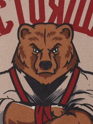 Набор полотенец кухонных «Доляна. Настоящий защитник», 35x60 см - 2 шт., рогожка, хлопок 100%, 160 г/м²