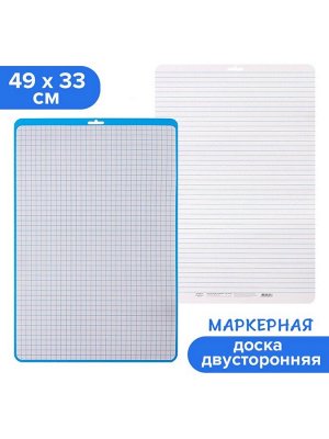 Доска маркерная A3 (49x33 см) Calligrata, двусторонняя: клетка/линейка, синяя