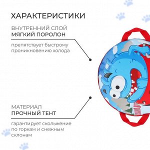 Санки-ледянки №75 «Чудик на ватрушке», d=40 см