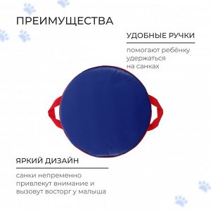 Санки-ледянки №75 «Чудик на ватрушке», d=40 см