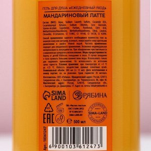 Гель для душа ЧИСТОЕ СЧАСТЬЕ, 500 мл, аромат латте-мандарин, Новый Год