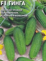 Огурец Гинга F1 0,3 г б/п с евроотв.