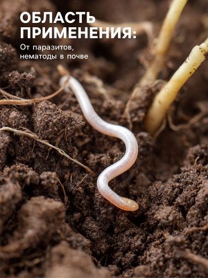 Средство от болезней растений "Флагрин-Д" (Нематодин), 10 г