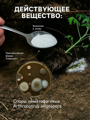 Средство от болезней растений "Флагрин-Д" (Нематодин), 10 г