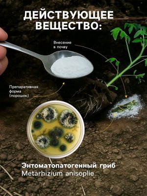 Средство от насекомых и вредителей «Метаризин», 250 г