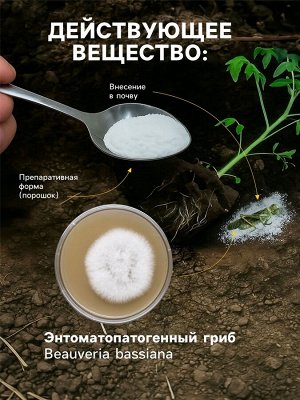 Средство от насекомых и вредителей «Боверин», 50 г