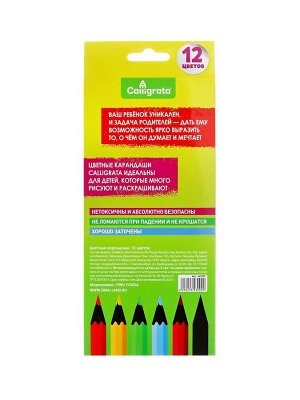 Карандаши Calligrata цветные заточенные, 12 цветов, в картонной коробке