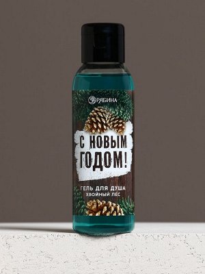 Гель для душа «С Новым Годом!», 100 мл, аромат хвойного леса, Чистое счастье