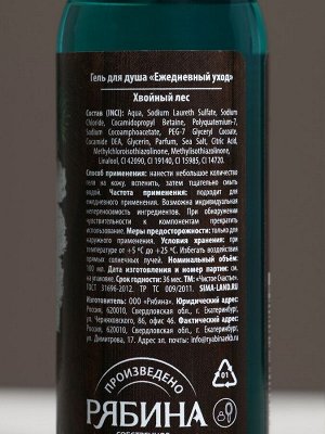 Гель для душа «С Новым Годом!», 100 мл, аромат хвойного леса, Чистое счастье