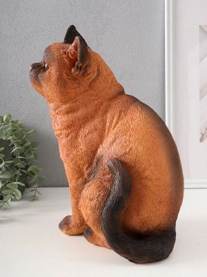 Фигурка гипс «Кошка Сиамская окраска», 31.5x16x24 см