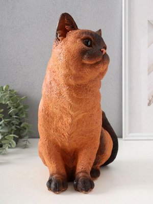 Фигурка гипс «Кошка Сиамская окраска», 31.5x16x24 см