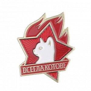 Брошь, значок "Всегдакотов", 1 шт.