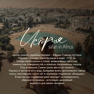 Увлажняющий парфюмированный spa гель для душа серии Ambree professional. Safari in Africa 750 мл