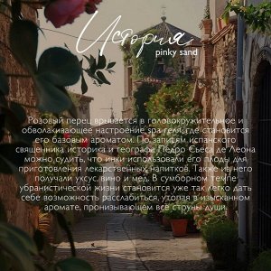 Гель для душа + шампунь 2в1 серии Ambree Profesional. Pinky Sand. 1л