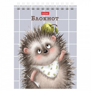 Блокнот МАЛЫЙ ФОРМАТ А6, 40 л., гребень, картон, клетка, HATBER, "Хорошо быть ёжиком", 080472, 40Б6В1гр