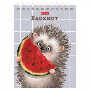 Блокнот МАЛЫЙ ФОРМАТ А6, 40 л., гребень, картон, клетка, HATBER, "Хорошо быть ёжиком", 080472, 40Б6В1гр
