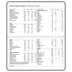 Еженедельник недатированный с резинкой 171х93 мм, BRAUBERG, твердый, 64 л., "Minimal", серый, 116311