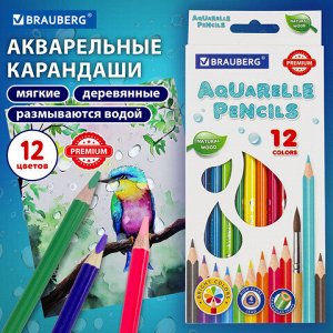 Карандаши цветные акварельные BRAUBERG PREMIUM AQUARELLE, 12 цветов, трехгранные, утолщенный грифель 4 мм, натуральное дерево, 181671