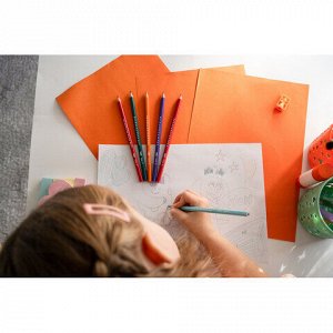Карандаши цветные BIC "Tropicolors", 12 цветов, шестигранные, 83256610