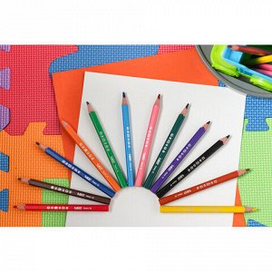 Карандаши цветные утолщенные BIC "Kids Evolution Triangle", 12 цветов, трехгранные, грифель 4 мм, 8297356, 82973511