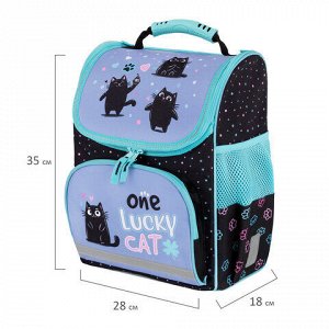 Ранец ПИФАГОР BASIC, 1 отделение, 3 кармана, эргономичная спинка, "Funny cats", 35х28х18 см, 273135