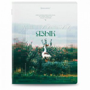 Тетради предметные, КОМПЛЕКТ 12 ПРЕДМЕТОВ, 48 л., глянцевый УФ-лак, BRAUBERG "ILLUSION", 405171