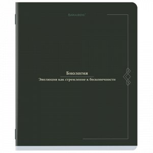 Тетради предметные, КОМПЛЕКТ 12 ПРЕДМЕТОВ, 48 л., SoftTouch, BRAUBERG "VINTAGE", 405183
