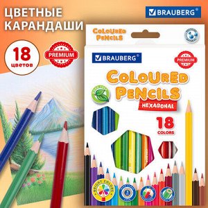 Карандаши цветные BRAUBERG PREMIUM, 18 цветов, шестигранные, грифель 3 мм, 181667
