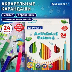 Карандаши цветные акварельные BRAUBERG PREMIUM AQUARELLE, 24 цвета, трехгранные, утолщенный грифель 4 мм, натуральное дерево, 181673