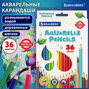 Карандаши цветные акварельные BRAUBERG PREMIUM AQUARELLE, 36 цветов, трехгранные, утолщенный грифель 4 мм, натуральное дерево, 181674