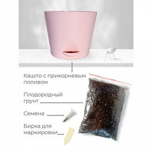 Набор для выращивания растений МАГИЯ ЦВЕТОВ "Индийская сирень" (горшок, грунт, семена), mf-020