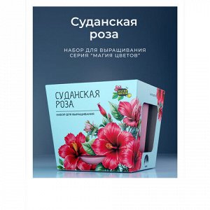 Набор для выращивания растений МАГИЯ ЦВЕТОВ "Суданская роза" (горшок, грунт, семена), mf-022