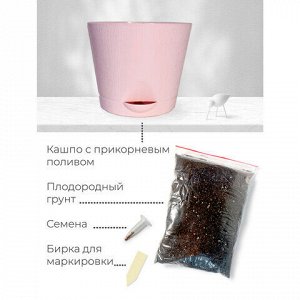 Набор для выращивания растений МАГИЯ ЦВЕТОВ "Суданская роза" (горшок, грунт, семена), mf-022