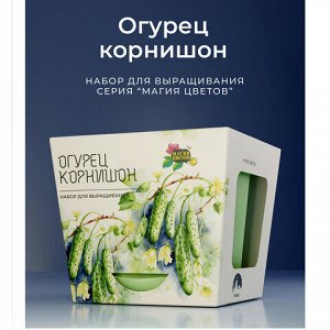 Набор для выращивания растений МАГИЯ ЦВЕТОВ, "Огурец корнишон" (горшок, грунт, семена), mf-021