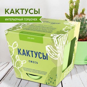 Набор для выращивания растений ТЫСЯЧА ЛИСТЬЕВ "Кактусы" (горшок, грунт, семена), tl-035