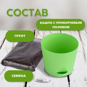 Набор для выращивания растений ТЫСЯЧА ЛИСТЬЕВ "Кактусы" (горшок, грунт, семена), tl-035