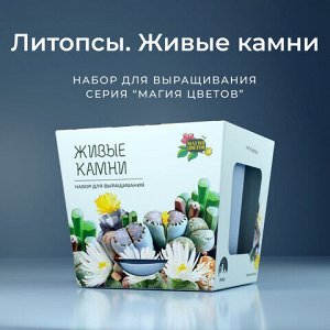 Набор для выращивания растений МАГИЯ ЦВЕТОВ "Живые камни Литопсы" (горшок, грунт, семена), mf-004