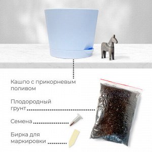 Набор для выращивания растений МАГИЯ ЦВЕТОВ "Живые камни Литопсы" (горшок, грунт, семена), mf-004