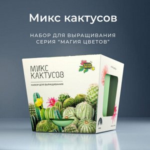 Набор для выращивания растений МАГИЯ ЦВЕТОВ "Кактусы микс" (горшок, грунт, семена), mf-003