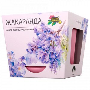 Набор для выращивания растений МАГИЯ ЦВЕТОВ "Жакаранда (фиалковое дерево)" (горшок, грунт, семена), tl-003