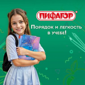 Обложки ПП для тетрадей и дневников, КОМПЛЕКТ 10 шт., 70 мкм, 210х350 мм, прозрачные, ПИФАГОР, 229341